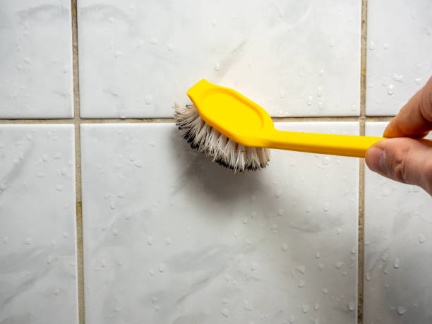 Best Best Mold Removal Companies  in Dorr, MI